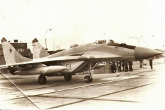 MiG-29 v Milovicích